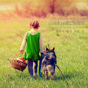 강아지 병원 가던 날