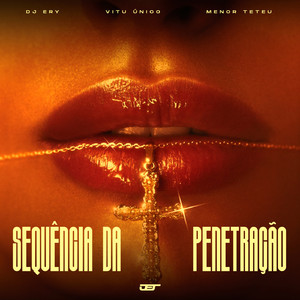 SEQUÊNCIA DA PENETRAÇÃO