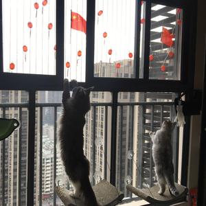 2013年 逢うたび好きになって