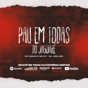 PAU EM TODAS DO JAGUARÉ