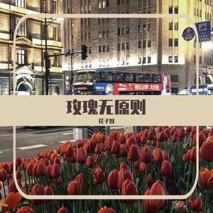 花子默-梦里水乡(Dj版)（花子默 remix）