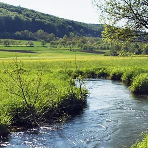 深度采耳之春山风它拂过山野