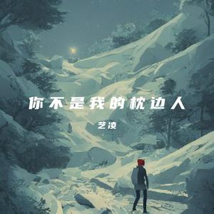 你不是我的枕边人 (伴奏)