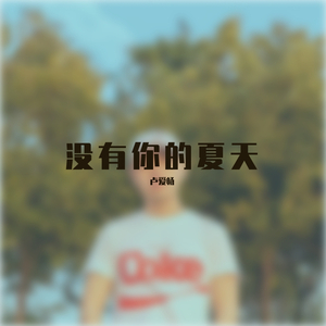 没有你的夏天
