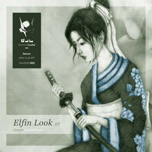 Elfin Look (Original Mix)