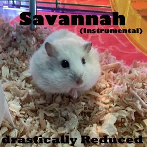 Savannah (Instrumental)