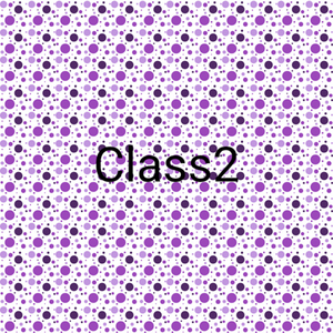 Class2