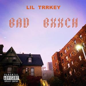 Bad Bxxch (Explicit)