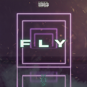 Fly