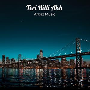 Teri Billi Akh