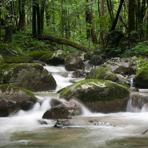 这里就是我最爱的地方 伴奏