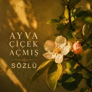 Ayva Çiçek Açmış
