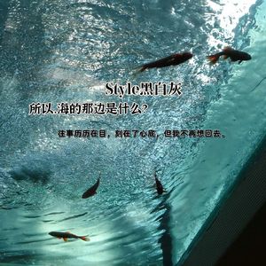 所以，海的那边是什么？