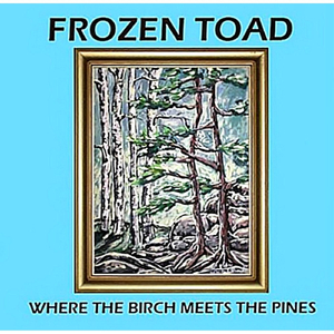 Northern Light Swing