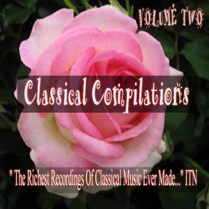 Violin Concerto in D Op. 61, Allegro ma non troppo, Part 3