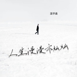 人生漫漫亦灿灿