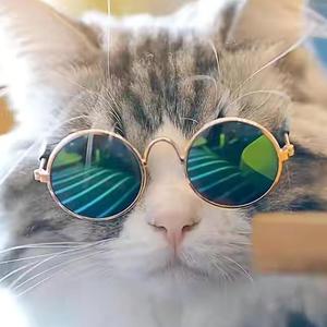 kiatjuddai(泰式电摆)（小鹏鹏 remix）