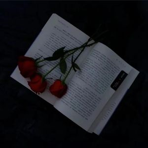 美丽的神话（cover：孙楠/韩红）