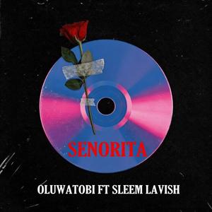 Senorita (feat. Sleem Lavish)
