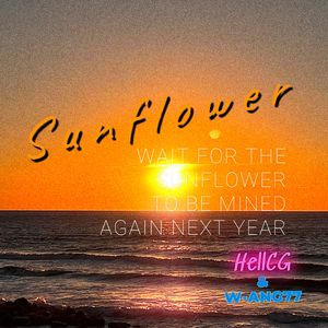 Sunflower(太阳花）