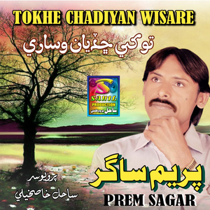 Tokhe Chadiyan Wisare