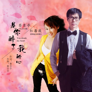 是你醉了我的心 (DJ版)