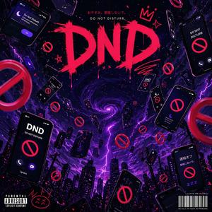 DND (feat. Killa-Cam)
