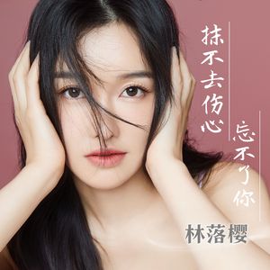 抹不去伤心忘不了你