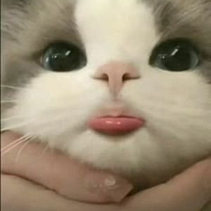 Hisohkah School rooftop - Slowed + Reverb