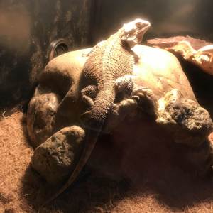 Winter Harbor (You're an Angel)