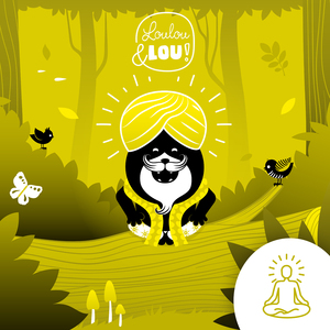 Meditatie - Fantasie ballonnen - Hé stuiterbal