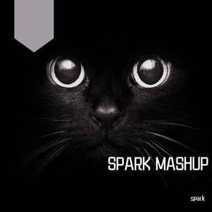 EDX-Panther LeKtri Que - Religion Spark（spark / DjShevin谢天铧 remix）