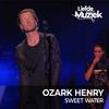 Ozark Henry - The Enemy - Uit Liefde Voor Muziek (Live)