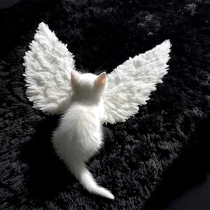 时间是无声的良方