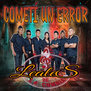 Cometí un error