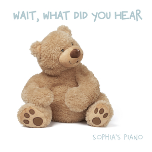 Wait, What Did You Hear