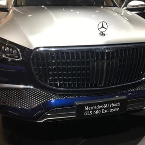 Flashlights (Intro Edit)