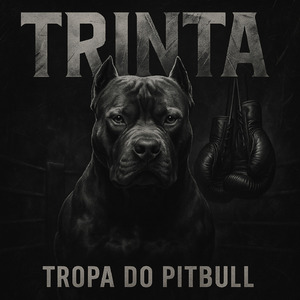 TROPA DO PITBULL