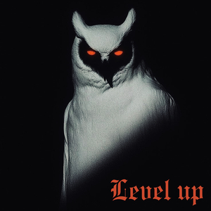 Level Up