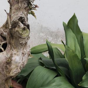 一边厌学一边担心自己今后的路怎么走