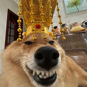 如果阴雨绵绵，那我做你的晴天