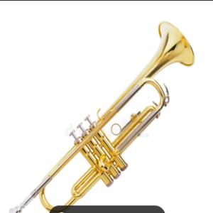 the trumpeter
