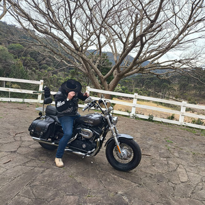 Cowboy de Harley