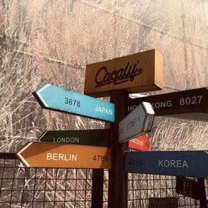 初夏的风（Demo）