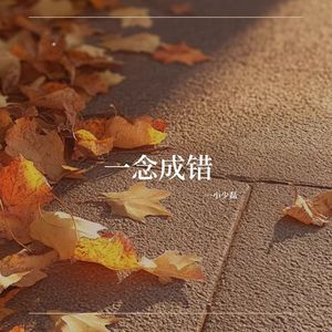 一念成错 (伴奏)