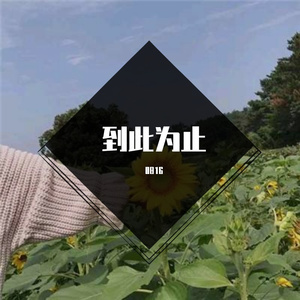 连诗雅-到此为止~1（0816 remix）