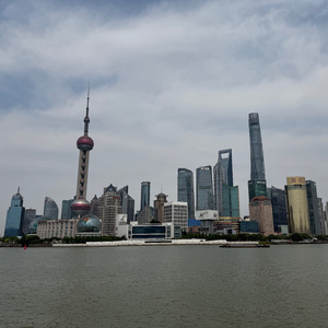 talk the talk freestlye