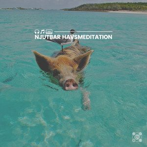 Sun-Kissed Skin and Sandy Toes