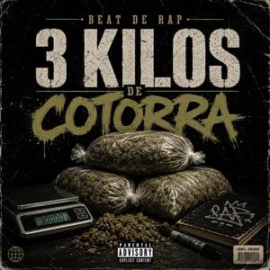 3 KILOS DE COTORRA