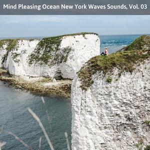 Enlightened New York Oceans